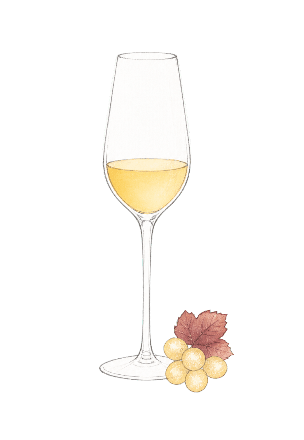 A minimal drawing of golden Canadian ice wine